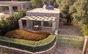 Ouzo Stone Studio
